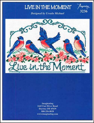 Live In The Moment Cross Stitch Pattern - Premium Pattern, Cross Stitch from Imaginating - Just $6! Shop now at Crossed Hearts Needlework & Design