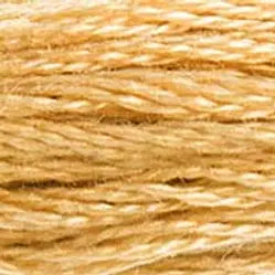 DMC 422 Six-Strand Floss - Premium Thread & Floss from DMC® - Just $0.66! Shop now at Crossed Hearts Needlework & Design