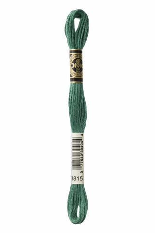 DMC® Six-Strand Embroidery Floss Skeins - 3800s - Premium Thread & Floss from DMC® - Just $0.66! Shop now at Crossed Hearts Needlework & Design