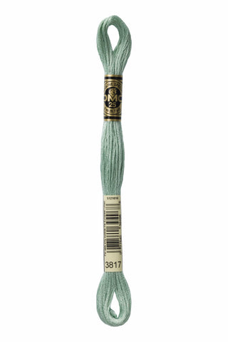 DMC® Six-Strand Embroidery Floss Skeins - 3800s - Premium Thread & Floss from DMC® - Just $0.66! Shop now at Crossed Hearts Needlework & Design